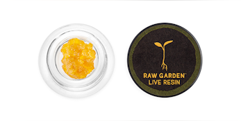 GMO Glue Live Resin 