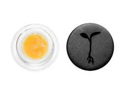 Raw Garden - Beach Party Live Resin Badder - 1G Concentrate