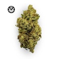 Red Pop Bulk Flower - GRASSHOPPER FARMS
