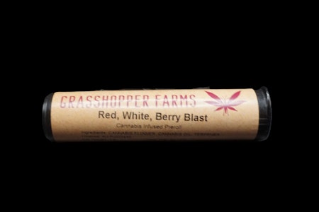 GRASSHOPPER FARMS - Blazin Blueberry Melon (1g Infused Pre Roll)
