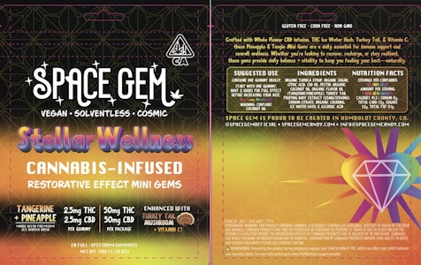 Space Gem - Space Gem - 20ct. 50mg CBD:50mg THC Stellar Wellness Restorative - Tangerine + Pineapple