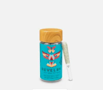 Revelry | Starfruitz | Preroll | 7pk | 3.5g
