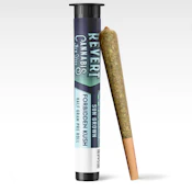 Revert | Forbidden Kush | 0.5G indica