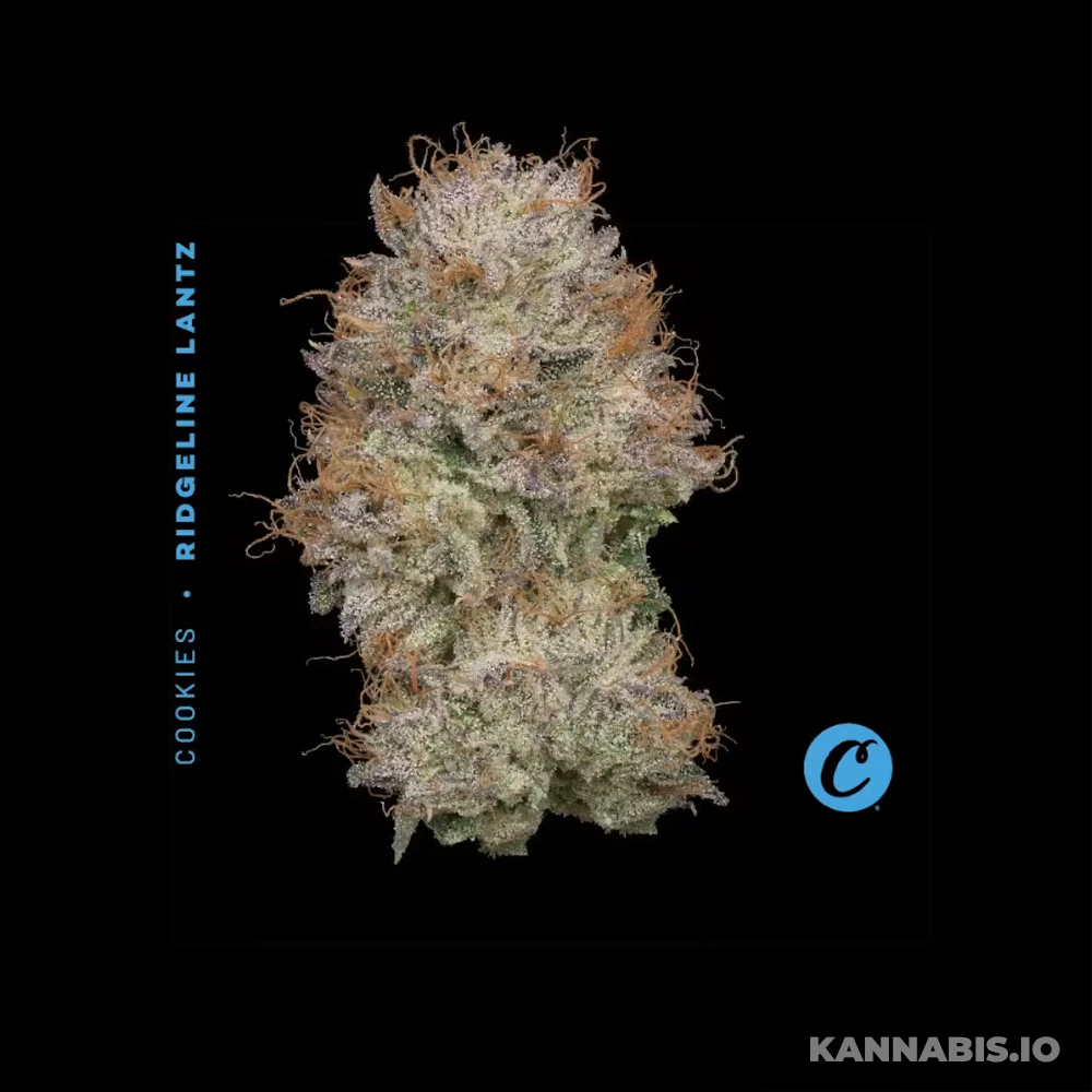 Cookies - Ridgeline Lantz Mixed Light - 3.5G Main Image