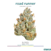 MOCA Flowers - 1G Smalls - Road Runner