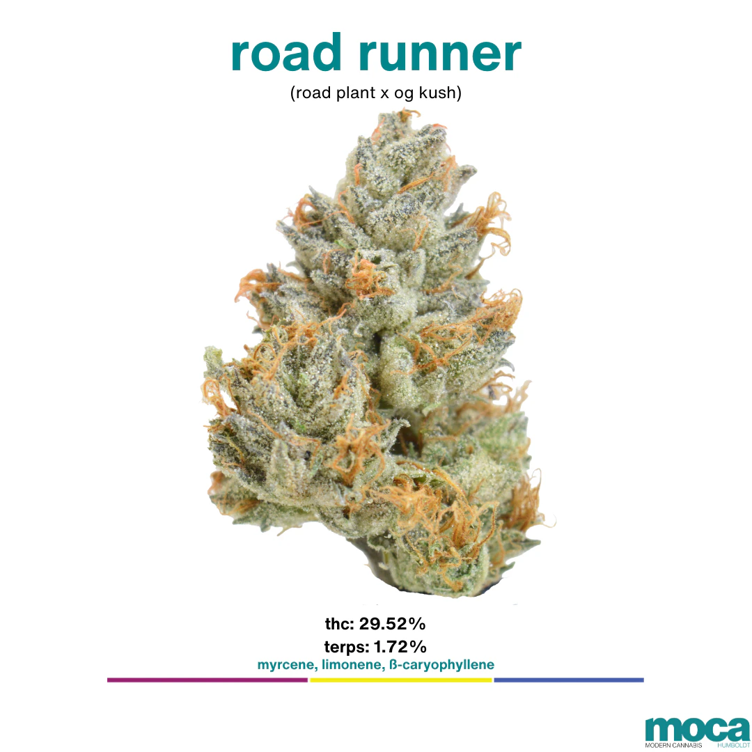 MOCA Flowers - MOCA Flowers - 1G Smalls - Road Runner Main Image