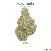 MOCA Flowers - 1/8th Mylar Bag - Road Runtz