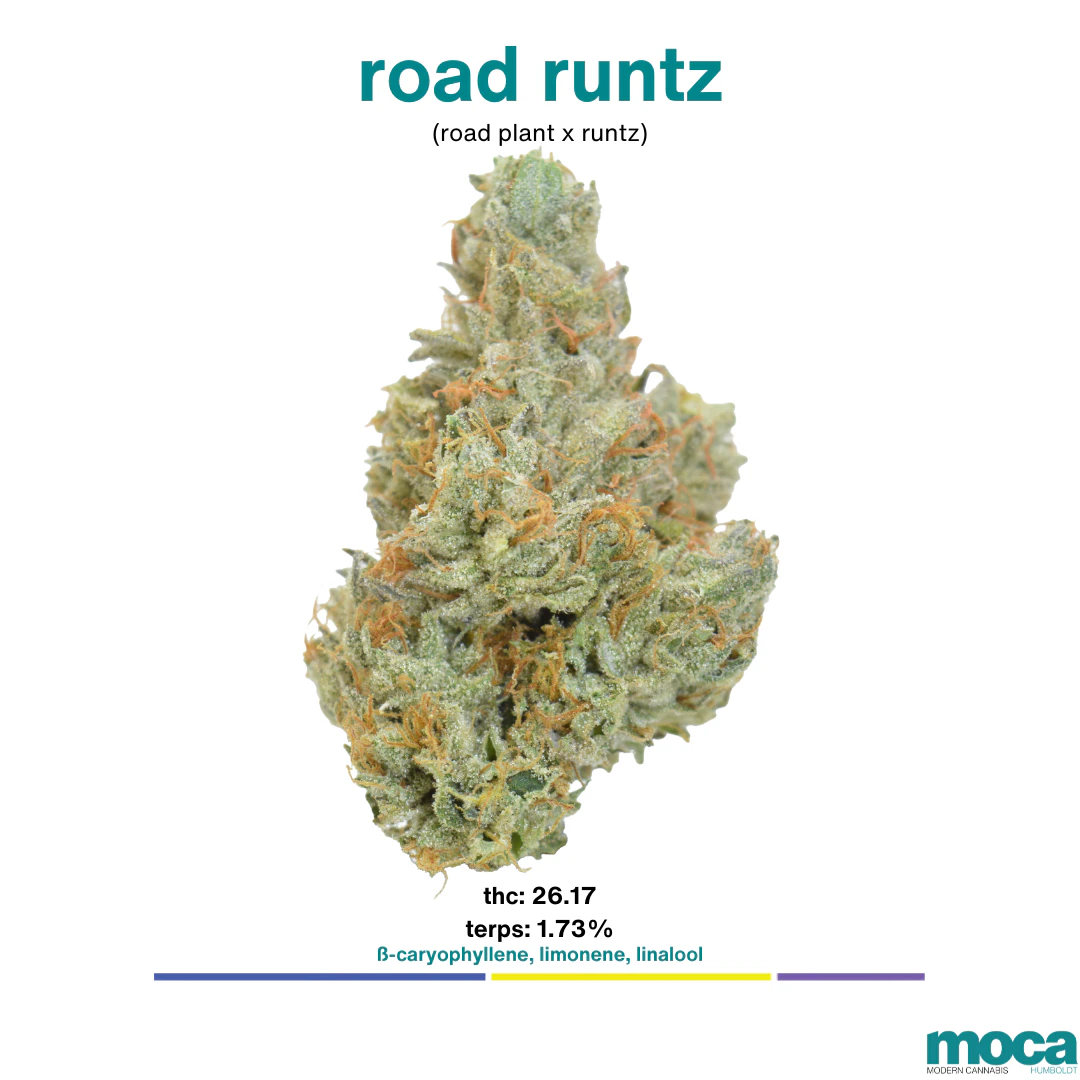 MOCA Flowers - MOCA Flowers - 1/8th Mylar Bag - Road Runtz Main Image