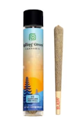 Rolling Green Cannabis Tangerine Dream Preroll 1g