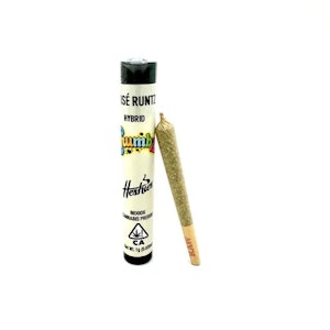 CRUMBZ - CRUMBZ - Rose Runtz - Preroll - 1G