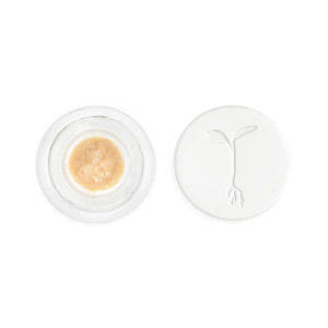 Raw Garden - Grapes & Cream Solventless Live Rosin Badder 1g