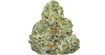 Pearl Pharma - Royal Dutch - 3.5g
