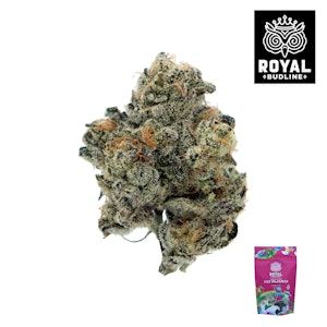 ROYAL BUDLINE - Cats Pajamas