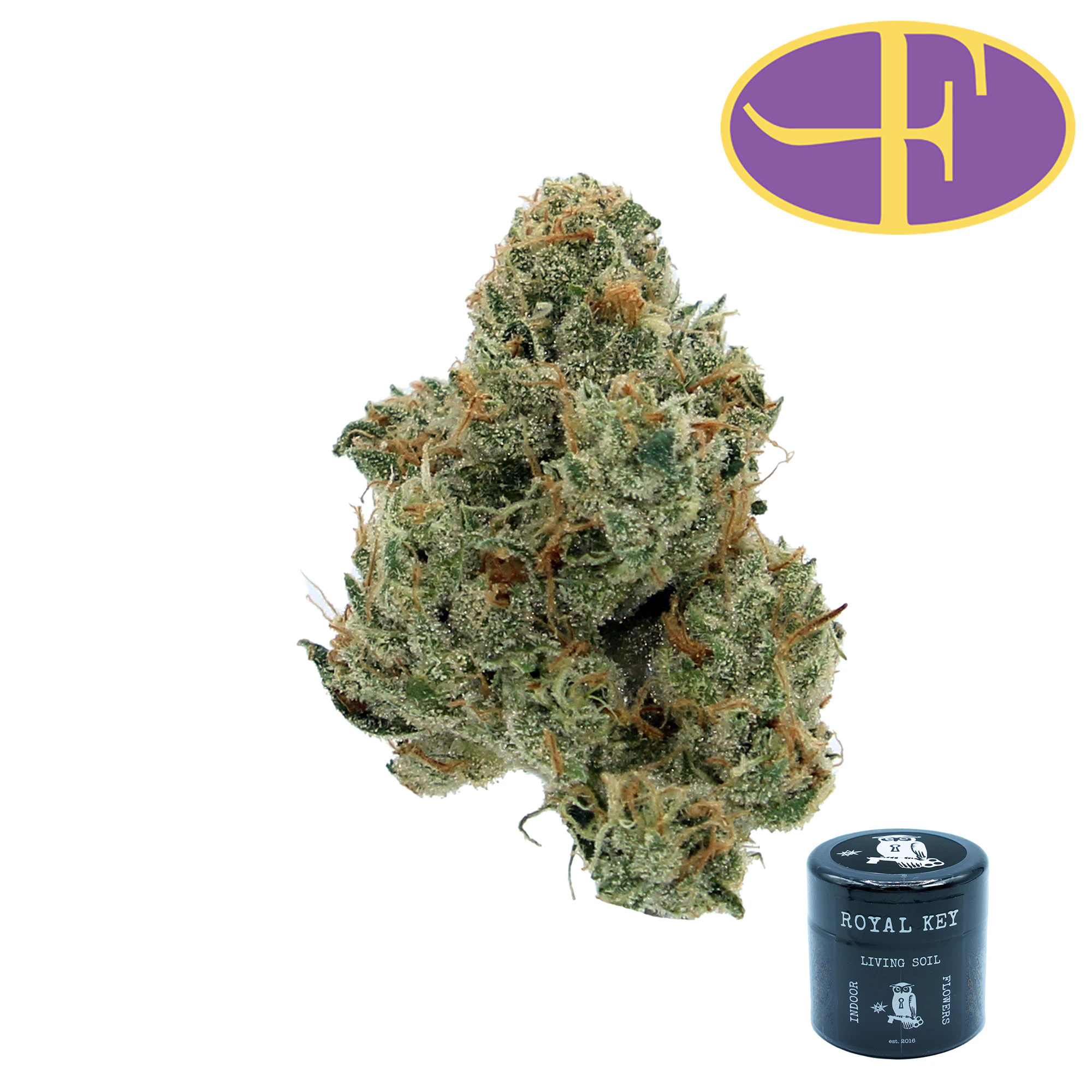 Royal Key - iOS OG Main Image
