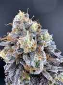 [REC] Jersey Strong | RS11 | 3.5g Flower