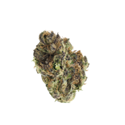 Basic Bud - 1/4 Bag - Runtz