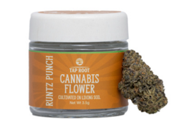 Tap Root Family | Runtz Punch A | 1/8 Flower Jar