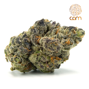 CAM - Runtz x Jealousy (Private Reserve) - 3.5g (IH) - CAM