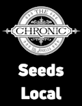 Purple City Genetics - Seeds Local - Space Station - 6 Pack