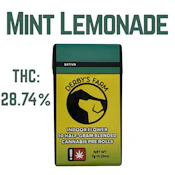 Derbys | Preroll 10pk/5g [S] | Mint Lemonade