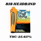 Garden First | Puff King PR [S] | 818 Headband