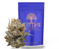 SATTVA | BLUE NERDZ | FLOWER | 4G