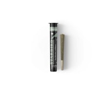 Bacio Gelato - 1g Hash Infused Preroll - Starbird