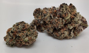 (D) Kapnos | Super Boof
