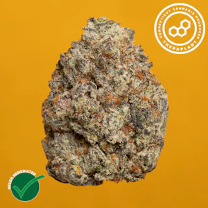 THERAPLANT - SBC 4947