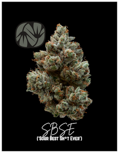 ALTERNATIVE SOLUTIONS - SBSE 3.5 Gram Jar By Alt Sol