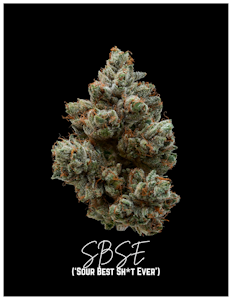 ALTERNATIVE SOLUTIONS - SBSE Half Oz 14G By Alt Sol