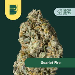 Botanist - The Botanist | Scarlet Fire | Sativa | 14G 