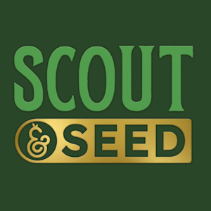 SCOUT & SEED - SCOUT & SEED - SUPER POP ROCKS SMALLS 14 GRAMS