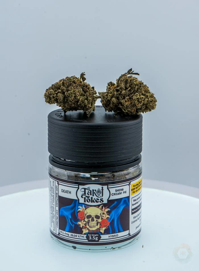 Tarot Tokes - Tarot Tokes | Sherb Cream Pie | 3.5g Main Image