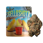 GELLO SHOTS 3.5G - SEED JUNKY