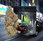 LMNO-Z Premium Flower - 3.5g
