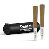 Animal - SFV OG - Infused Preroll 2pk - 1G