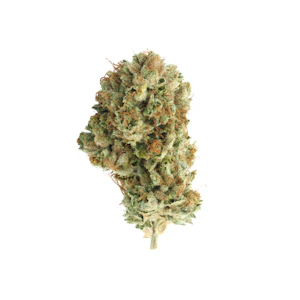 Basic Bud - Basic Bud - 1oz - SFV OG