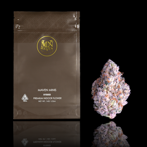 MAVEN GENETICS - Shangri-La (Minis) - 14g (H) - Maven