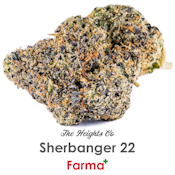 The Heights Co Sherbanger 22