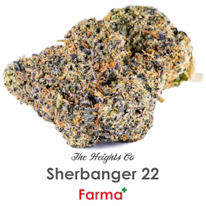 THE HEIGHTS CO - The Heights Co Sherbanger 22