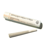 Sonoma Hills Farm | Grandi Guava | Single