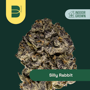 Botanist - The Botanist | Silly Rabbit | 14g  hybrid