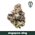 Grassroots | Singapore Sling | 7g