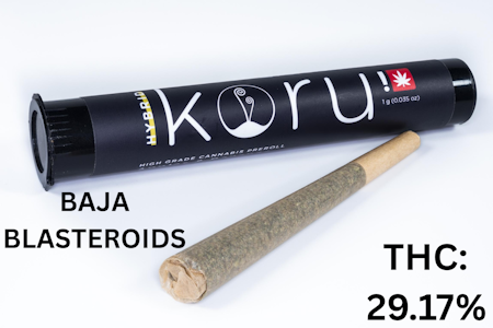 Koru Cannabis - Koru Cannabis | Preroll 1pk/1g [I] | Baja Blasteroids