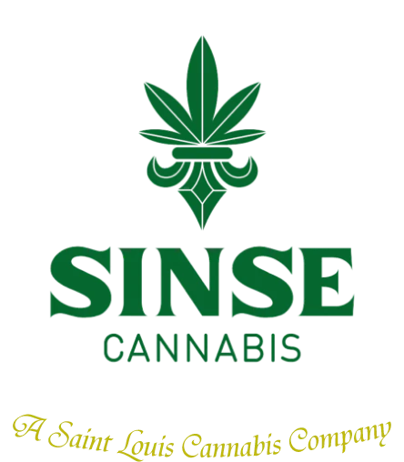 SINSE - SINSE - JUNGLE COOKIE 12 PK 0.5 GRAM PRE ROLL Main Image