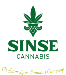 SINSE - SINSE - INDIAN BUBBLEGUM 12 PACK OF 0.5G PRE-ROLLS