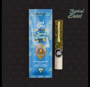 SEED JUNKY - Seed Junky Tropical Burst Infused Hash Hole 1.5g (REC)