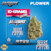 Berry Poppins - 10g - (H) - Sluggers