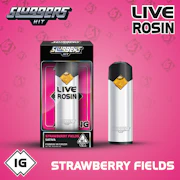Sluggers | Strawberry Fields | Live Rosin | All In One | 1g